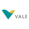Logo Vale — cliente parceiro da Dronewash em operações com drone